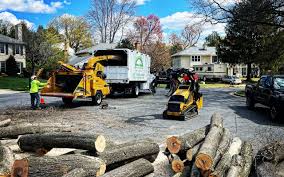 Best Leaf Removal  in Hamburg, PA