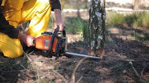 Lawn Irrigation Installation and Maintenance in Hamburg, PA